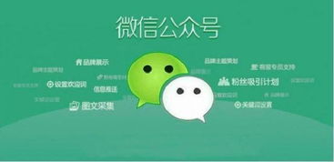 瀏陽(yáng)微信公眾號(hào)建設(shè)開(kāi)發(fā) 優(yōu)質(zhì)內(nèi)容是核心引擎
