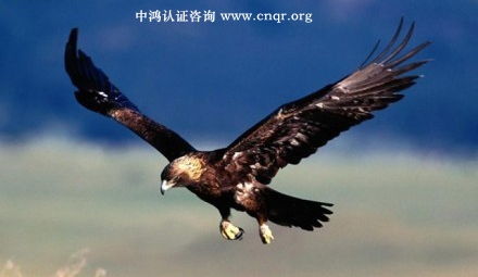 福耀玻璃工業集團通過TS16949質量管理體系認證 中鴻認證咨詢的專業助力